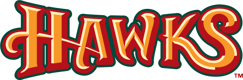 Boise Hawks 2007-Pres Wordmark Logo vinyl decal